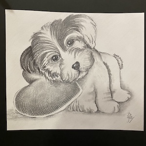 Learn Sketching at Nili's Art Studio, Cedar Park