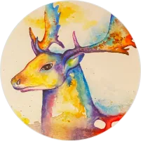 Meridian Special Camp icon